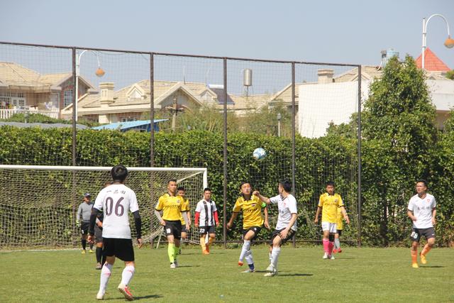 詹姆斯缺阵浓眉30+11 湖人大胜开拓者止3连败