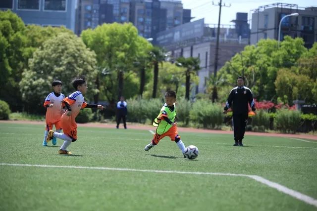 辽宁连续5年打进总决赛 此前2次冠军2次亚军